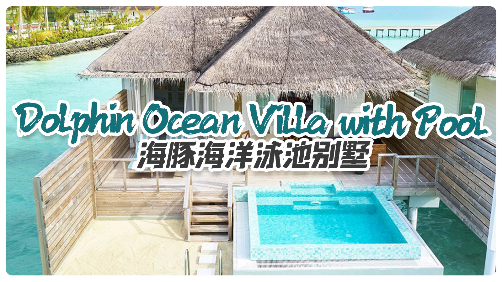 Dolphin Ocean Villa with Pool