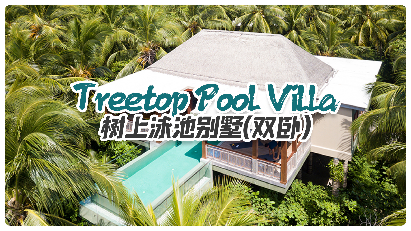 Treetop Pool Villa