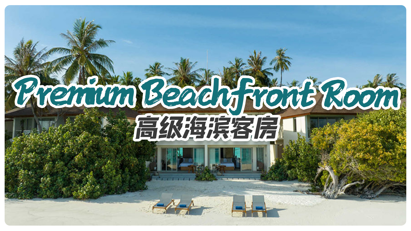 Premium Beachfront Room